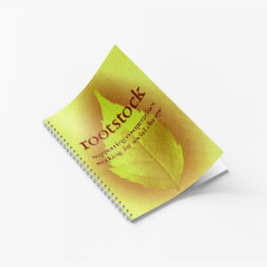 Rootstock - supporting co-operatives working for social change