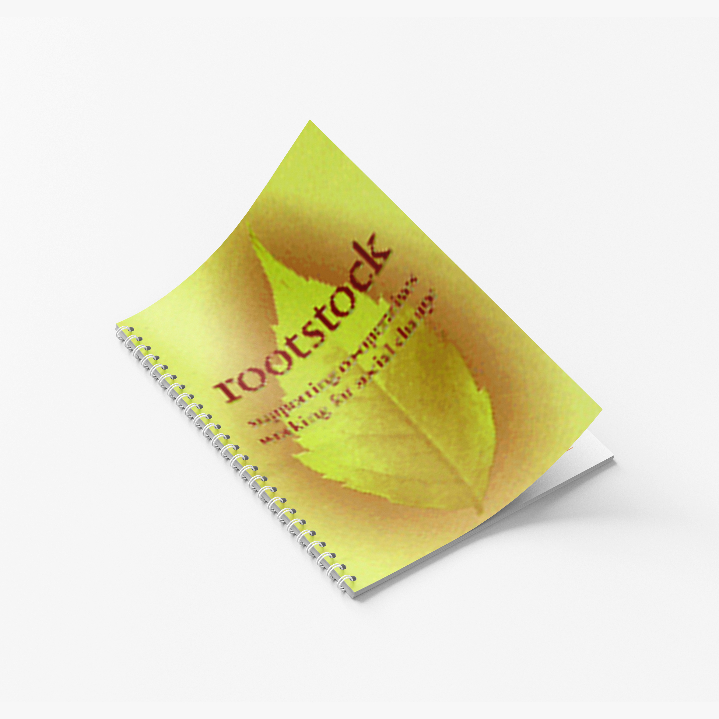 Rootstock - supporting co-operatives working for social change